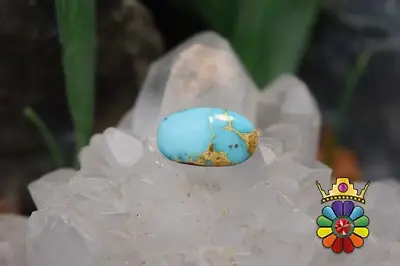 فیروزه نیشابور