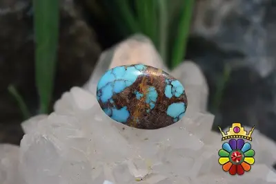 فیروزه نیشابور