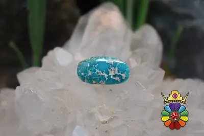 فیروزه نیشابور