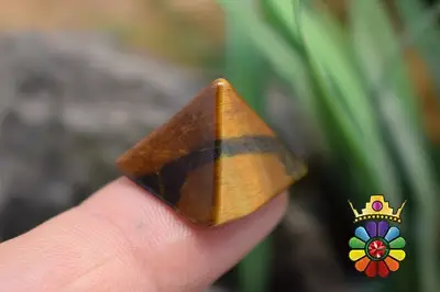 هرم چشم ببر