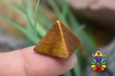 هرم چشم ببر