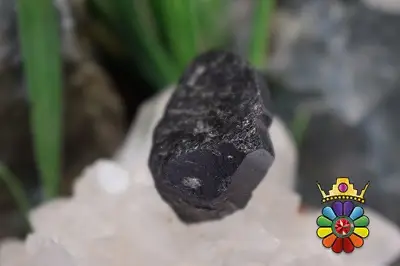 راف تورمالین سیاه