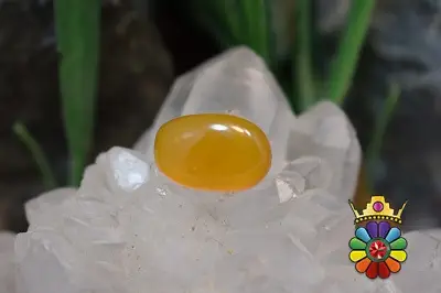 عقیق شرف شمس اصل