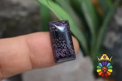 سوژولیت