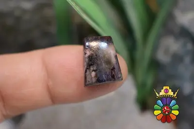 سوژولیت