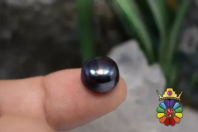 سوژولیت