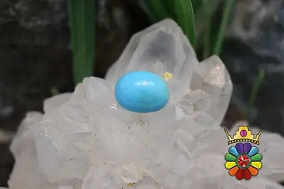 فیروزه امریکایی