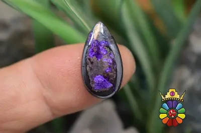 سوژولیت