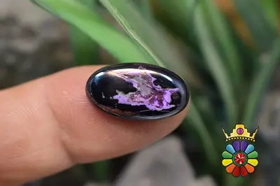 سوژولیت