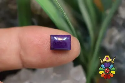 سوژولیت