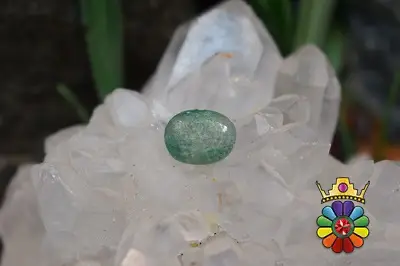 زمرد زامبیا