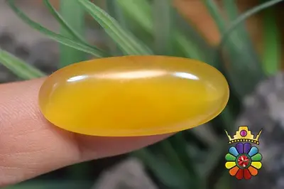 عقیق شرف شمس اصل
