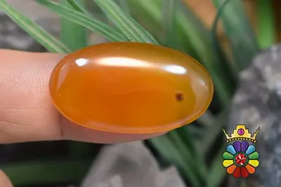 عقیق شرف شمس اصل