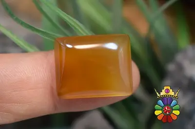 عقیق شرف شمس اصل