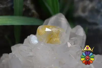 کوارتز روتیل دار طلایی