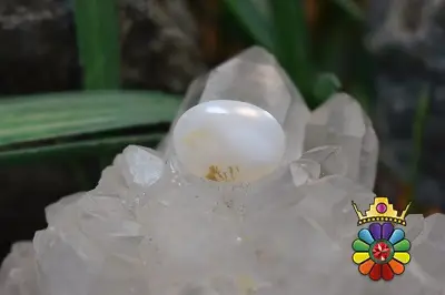 عقیق شجر