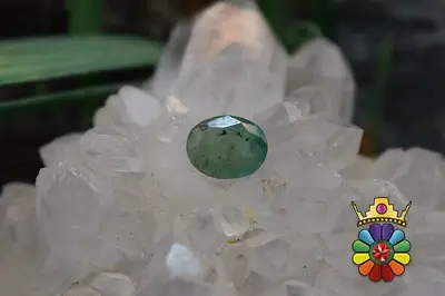 زمرد زامبیا