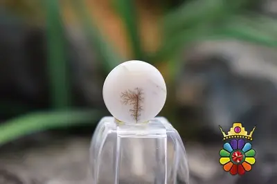 عقیق شجر
