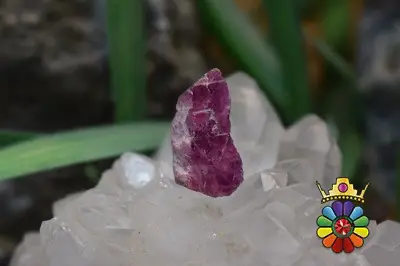 راف یاقوت سرخ
