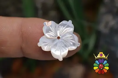 صدف