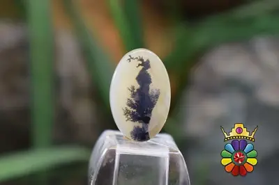 عقیق شجر