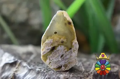 اسلایس عقیق شجر