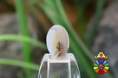 عقیق شجر