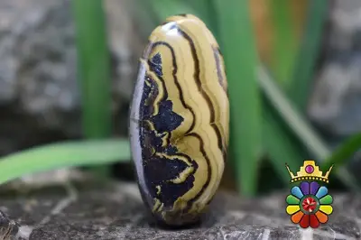 اسفالرایت