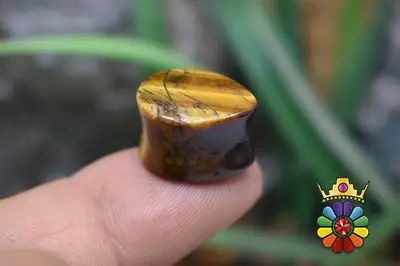 چشم ببر اشکی با تراش استخوانی
