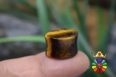 چشم ببر اشکی با تراش استخوانی