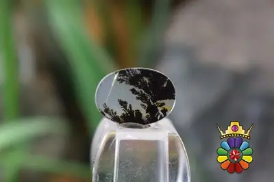 عقیق شجر