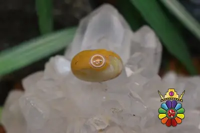 عقیق باباقوری