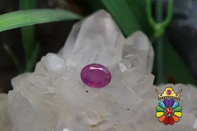 یاقوت سرخ