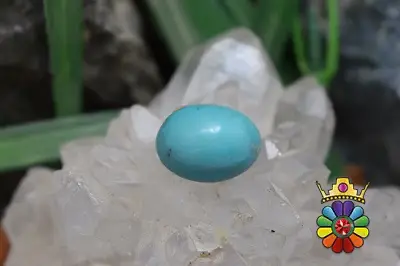 فیروزه امریکایی
