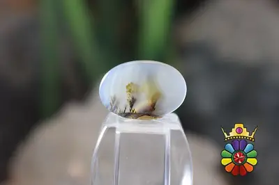 عقیق شجر هندوستان