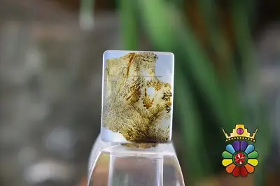 عقیق شجر هندوستان