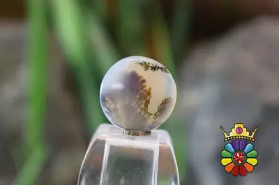 عقیق شجر هندوستان