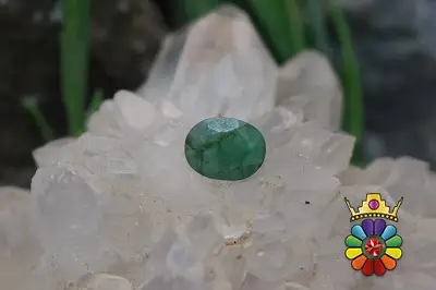 زمرد زامبیا