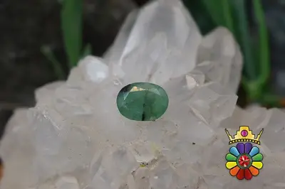 زمرد زامبیا