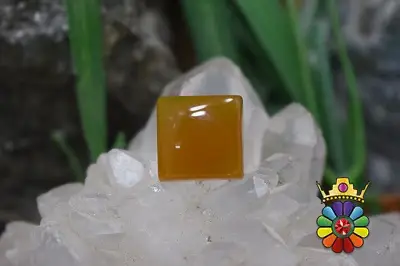 عقیق شرف شمس اصل