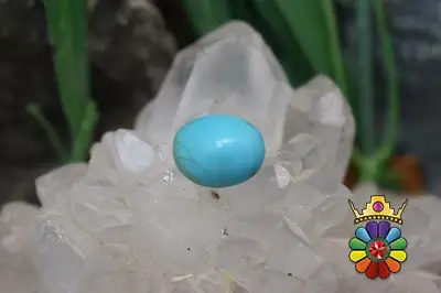فیروزه امریکایی