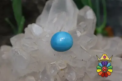 فیروزه امریکایی