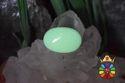 فسفریت شب نما