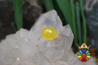 عقیق شرف شمس اصل