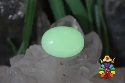 فسفریت شب نما