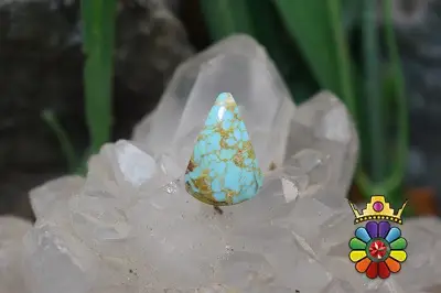 فیروزه نیشابور