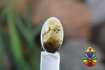 عقیق شجر هندوستان