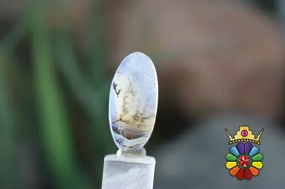 عقیق شجر هندوستان