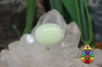 فسفریت شب نما