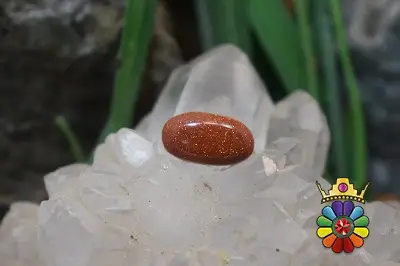 دل ربای طلایی